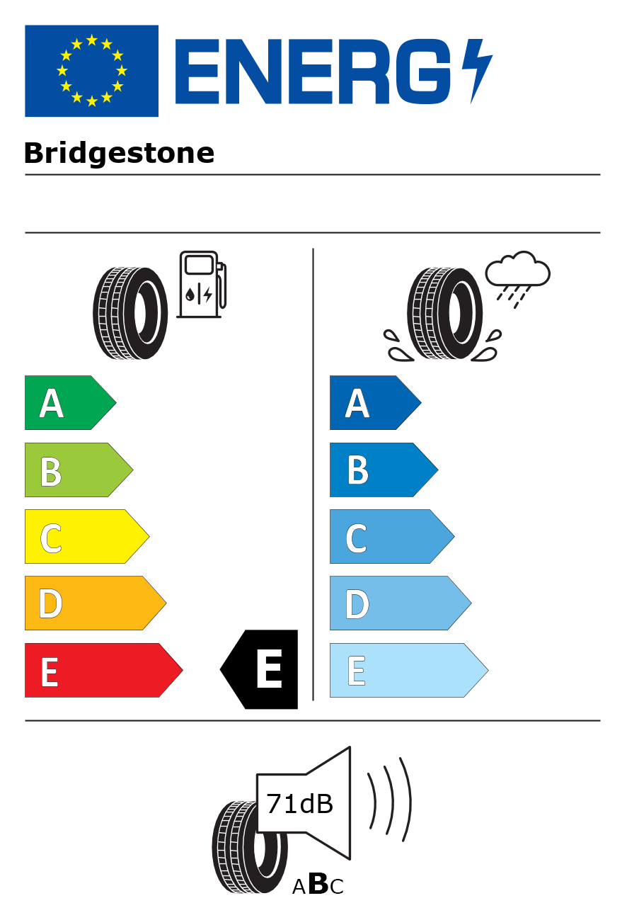 Etichetta energetica per Pneumatico BRIDGESTONE 255/50 R19 107V blizzak lm-25 XL E F