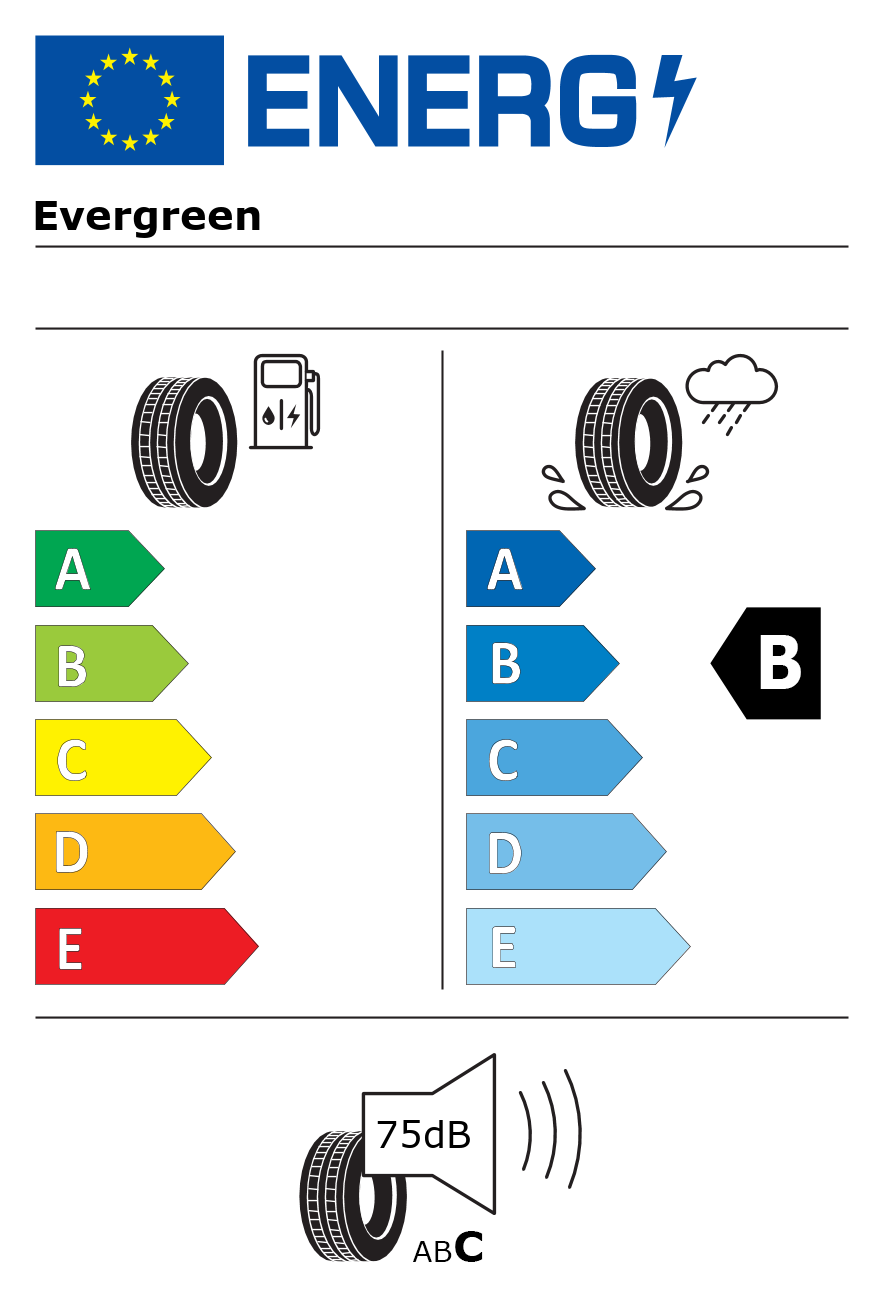 Etichetta energetica per Pneumatico EVERGREEN 165/60 R14 75H EH22