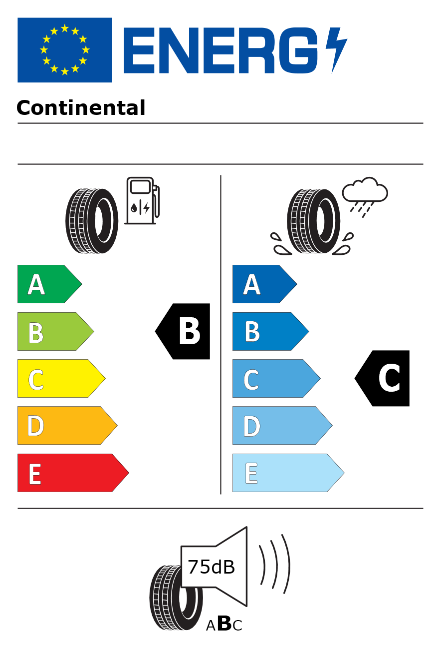 Etichetta energetica per Pneumatico CONTINENTAL 295/35 R21 107W CrossContact RX FR M+S MGT XL