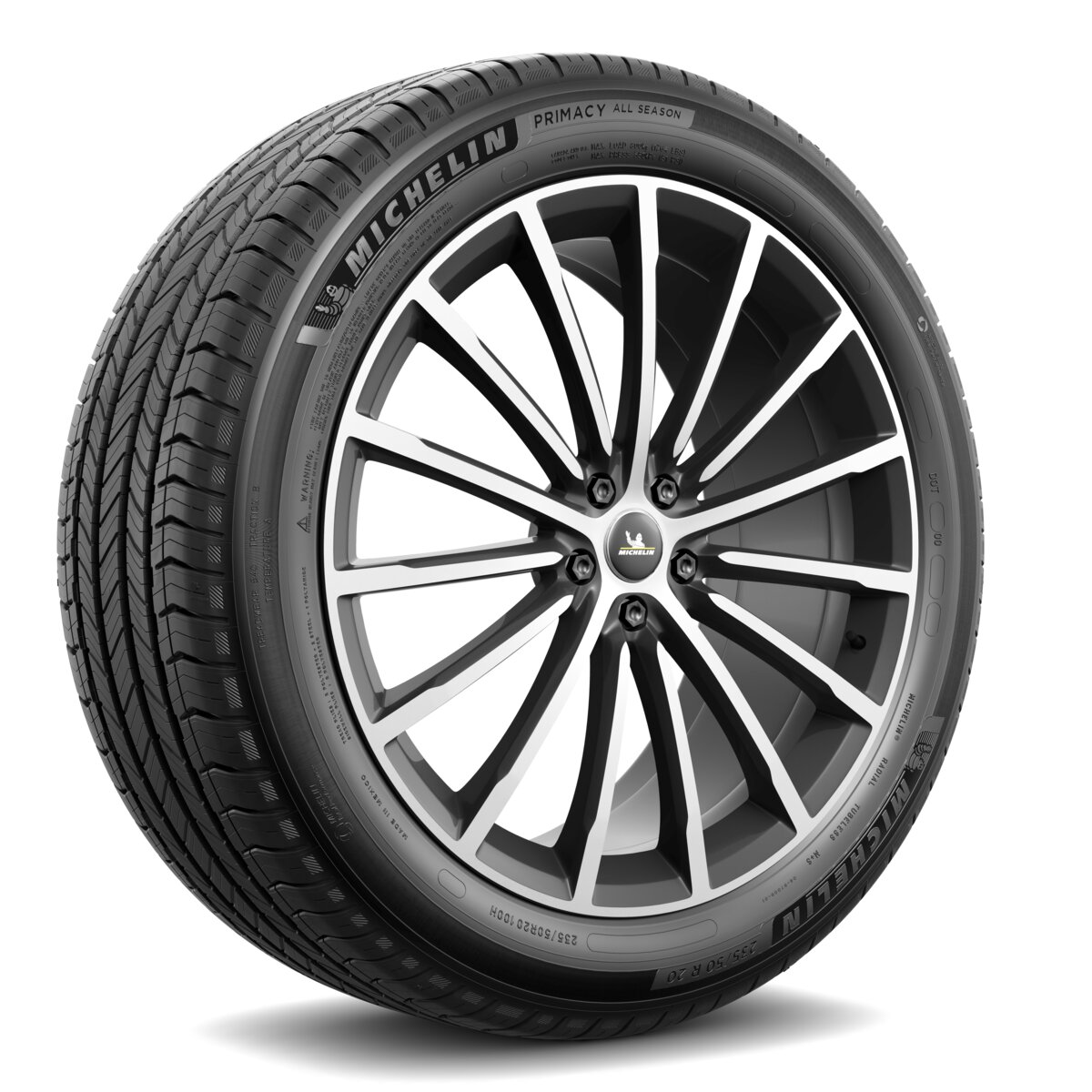 Vettura MICHELIN 255/55 R20 110V PRIMACY A/S EV M+S XL